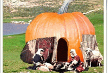 GÜMRÜK POLİSİ